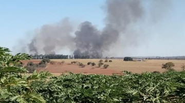 V�DEO: Inc�ndio consome 7 hectares de vegeta��o em Osvaldo Cruz