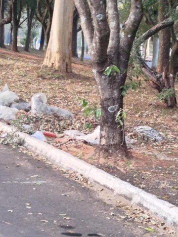 VDEO: Moradores do Atenas reclamam falta de calamento para evitar lixo no Bosque Laurinda Costa Morales