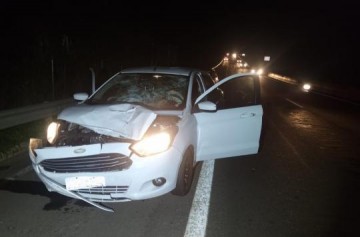 Mulher faz travessia em rodovia e morre ap�s ser atropelada