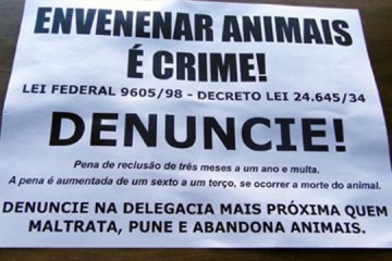 Osvaldo Cruz vive onda de mortandade de gatos