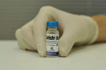 Minist�rio suspende fabrica��o e venda da �nica vacina contra leishmaniose no Brasil