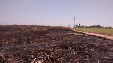 Opera��o multa propriet�rio em mais de R$ 14 mil por queima de planta��o de cana sem autoriza��o ambiental