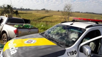 Com carga de maconha em caminhonete furtada, motorista tenta escapar de abordagem policial, mas acaba preso