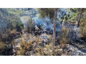 V�DEO: Osvaldo Cruz tem quatro inc�ndios simult�neos nesta tarde; maioria na �rea urbana com riscos a moradores