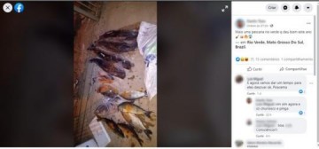 Morador em Tup�  � indiciado ao pescar 14 peixes em MS e postar no Facebook