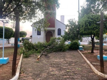 V�DEO: Vendaval de 80 km/h causa estragos em Sagres em menos de cinco minutos