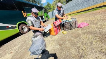 Passageiros de nibus so presos por trfico de droga aps polcia encontrar cocana escondida em bagagem, em Presidente Prudente