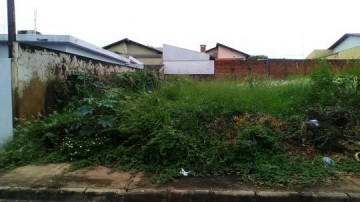 Terreno na rua Esc�cia gera dor de cabe�a para vizinhos