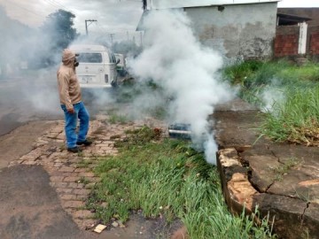 Prefeitura comea a aplicar veneno em bueiros para diminuir incidncia do mosquito da dengue