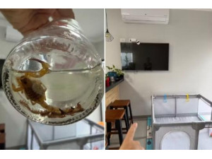 V�DEO: Escorpi�es caem de ar-condicionado a cent�metros de beb� de 8 meses em Presidente Venceslau