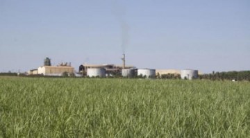 Usina Calif�rnia oferece R$ 20 mil de recompensa para quem der informa��es sobre autores de furto de fios esta semana na empresa