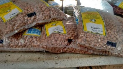 Foto: TCE-SP - cedida