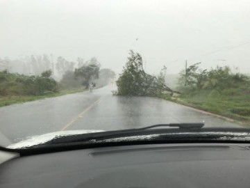 Chuva derruba �rvore na SP-294 pr�ximo a Luc�lia