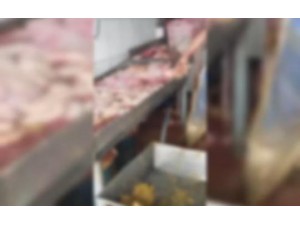 Abatedouro de Tup  notificado por irregularidades aps vistoria da Vigilncia Sanitria