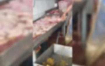 Abatedouro de Tup� � notificado por irregularidades ap�s vistoria da Vigil�ncia Sanit�ria