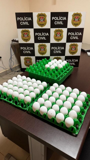 V�DEO: Pol�cia Civil de Rin�polis recupera ovos furtados e que eram vendidos em redes sociais