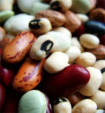 Feij�o deve ficar at� tr�s vezes mais caro, nos pr�ximos dias