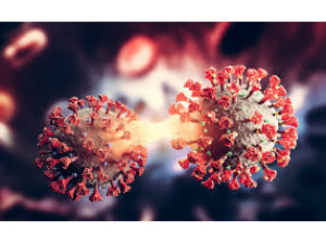 Covid-19 em Osvaldo Cruz: munic�pio registra 39 casos ativos em 2026