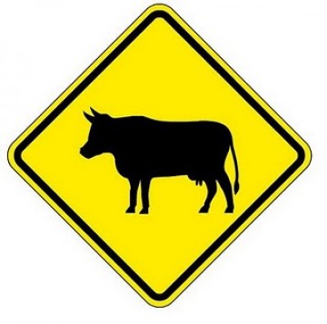 Carreta atropela boi pr�ximo a Luc�lia