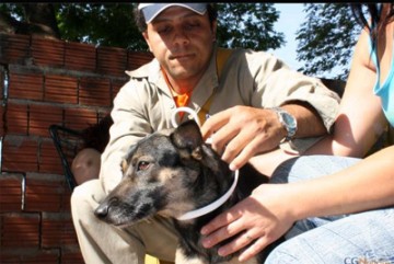 OC participa de projeto pioneiro de combate � leishmaniose