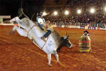 Osvaldo Cruz organiza Festa do Pe�o