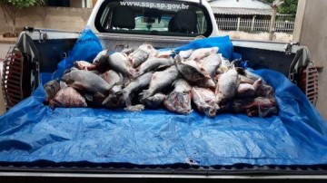 Polcia Ambiental apreende mais de 200 kg de peixes provenientes de pesca proibida