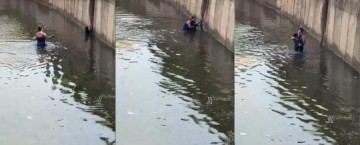 VDEO: Mulher se arrisca para salvar cachorro que se afogava em 'piscino'