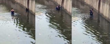 V�DEO: Mulher se arrisca para salvar cachorro que se afogava em 'piscin�o'