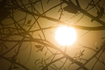 Osvaldo Cruz tem segunda-feira com sol e tempo seco persiste