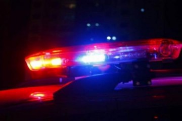 Bandidos roubam carga de 30t de frango avaliada em R$ 135 mil em Parapu�