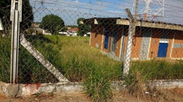 Mato alto em terrenos incomoda moradores de diversos bairros