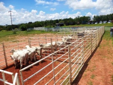 Evento da Solidariedade da Rede Feminina tem arrecada��o estimada em R$ 112 mil