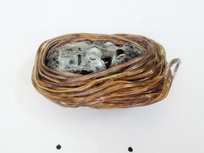Mulher escondeu 9,6 metros de fio de cobre flexvel, alm de fones de ouvido, dentro das partes ntimas (Foto: SAP/Divulgao)
