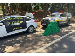 Homem � preso com mais de 260 quilos de maconha na SP-272 em Pirapozinho