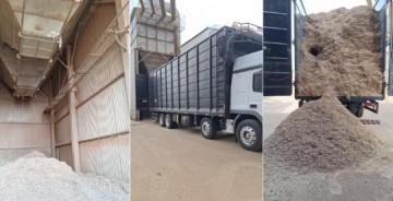 Trabalhador morre soterrado por palha de amendoim em Hercul�ndia