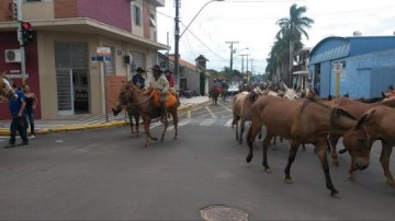 Cavalgada com 260 animais passa por Osvaldo Cruz rumo a Parapu�