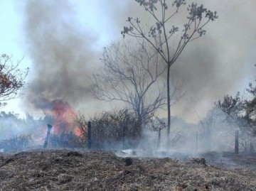 VDEO: Incndio compromete mata ciliar da Fazenda Sabi entre Osvaldo Cruz e Parapu