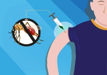 Anvisa aprova 1 vacina contra a dengue de uso amplo na populao; eficcia nos estudos foi de 80%