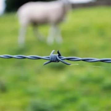 Polcia Civil investiga furto de mais de 20 cabeas de gado nelore, em Presidente Venceslau