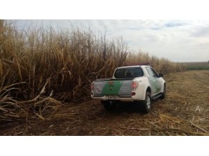 Usina � multada em mais de R$ 250 mil por queima ilegal de cana-de-a��car em Queiroz