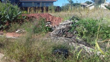 Internauta registra abandono em terreno particular no Mira Ira