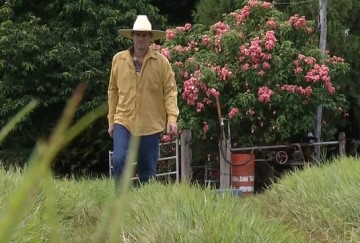 Trabalhar na ro�a sem proteger a pele aumenta riscos de c�ncer