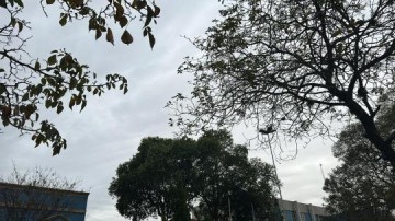 Chuva pode chegar hoje a Osvaldo Cruz