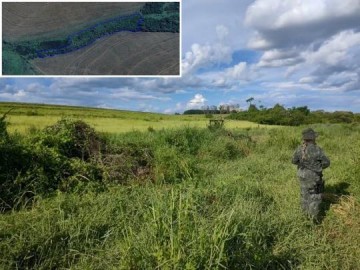 Fazendeiro  multado em mais de R$ 20 mil por desmatar rea de Preservao Permanente em Osvaldo Cruz