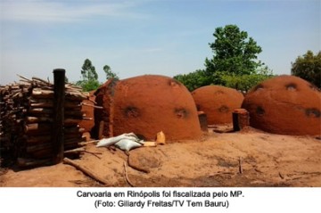 MPT fiscaliza condies de trabalho em carvoaria de Rinpolis