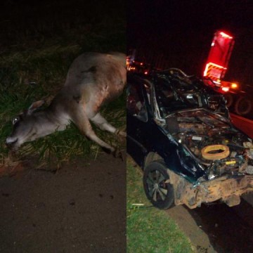 Acidente mata idoso em Rin�polis