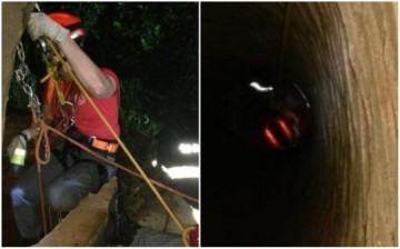 Bombeiros salvam boi que caiu em po�o de 15 metros de profundidade