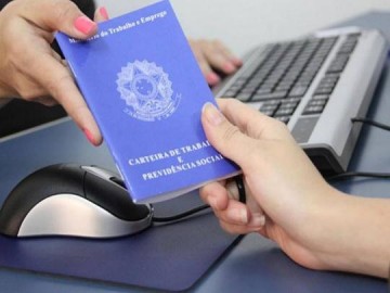 Osvaldo Cruz termina maio com saldo de 33 empregos com carteira assinada, segundo Minist�rio do Trabalho