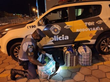 Pol�cia Militar Rodovi�ria prende dois homens com 30 quilos de folhas de coca na Rodovia Raposo Tavares (SP-270)