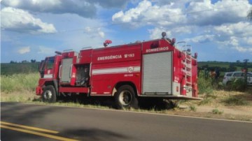 Homem morre v�tima de ataque de abelhas em Rin�polis